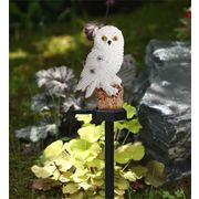 超人気ins話題  ソーラーライト 芝生観覧灯 大人気 樹脂 フクロウLEDライト 屋外照明 ガーデンライト