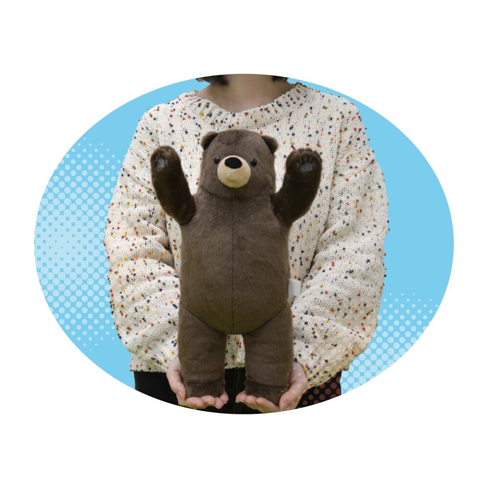 きよくま きよ (@kiyokumakiyokuma) • Instagram photos and videos