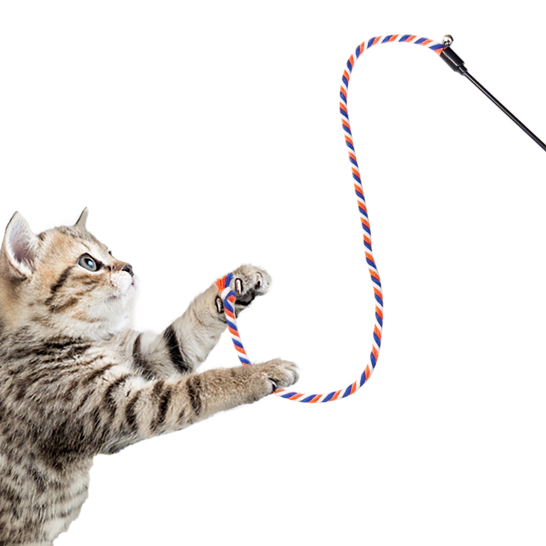 ペット 用品 ロープ 猫じゃらし ひも ロング 紐 鈴付き 全3色 3個セット