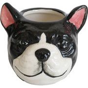 アニマルカップ・グリム　鉢/植木鉢/ガーデニング/花/園芸/植物