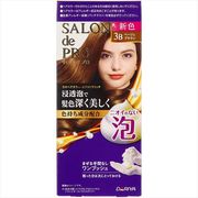 サロンドプロ　泡のヘアカラー・エクストラリッチ（白髪用）３Ｂ＜ベージュブラウン＞ 【ダリヤ】