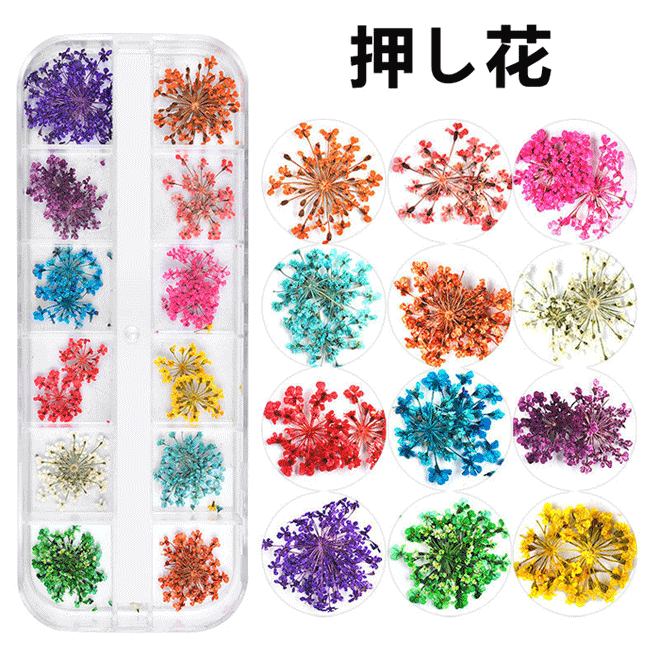 押し花 ハンドメイド パーツ 人気 ドライフラワー ネイルアート エスミント ナチュラル 花材 ネイルパーツ