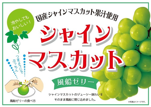 マスカット ふじや】【大人気商品！！】シャインマスカット風船ゼリー 11玉