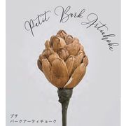 Sola Flower Stem Petit Collection プチコレクション Petit Bark Artichoke プチバークアーティチョーク