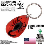 USA ARIZONA SCORPION DROP KEYCHAIN　スコーピオン　キーホルダー　アメリカン雑貨　お守り