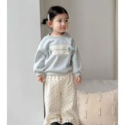 2025秋新作 韓国子供服  ベビー服  キッズ服 シャツ+ドットズボン 2点セット 73-100cm