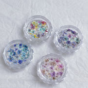 レジン ドライフラワー 花材 本物 封入 パーツ 封入物 素材 ハーバリウム 埋め込み ハンドメイド クラフト