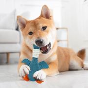 音が出るおもちゃ 犬用噛むおもちゃ 犬ペットおもちゃ