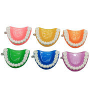 歯のチャーム　6色あり　1個売り 海外倉庫発送