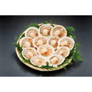 北海道のほたて貝L12枚 L12【直送品】［送料無料］