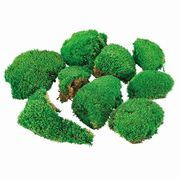 【2026年SS新作】プリザーブドフラワー　苔　ポールモス　大袋グリーン1袋FL000824-800