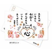 日本製 made in japan ノア+ クリーナークロス/ポストカード付 ありがとニャ NZ-011b