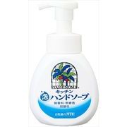 ヤシノミ　キッチン泡ハンドソープ