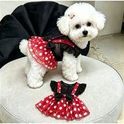 【2026春秋新作】ペット服  小型犬服   犬服   猫服　 超可愛い  ドッグウエア  ペット用品   ネコ雑貨秋