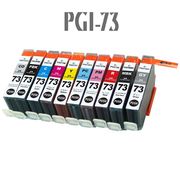 互換インクカートリッジ インク エコインク プリンター ICチップ付 PGI-73 PIXUS PRO-10