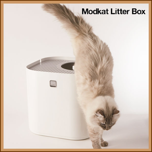 世界的デザイン賞受賞の美しい猫用トイレ！ Modkat LitterBox（モデキャットリターボックス）
