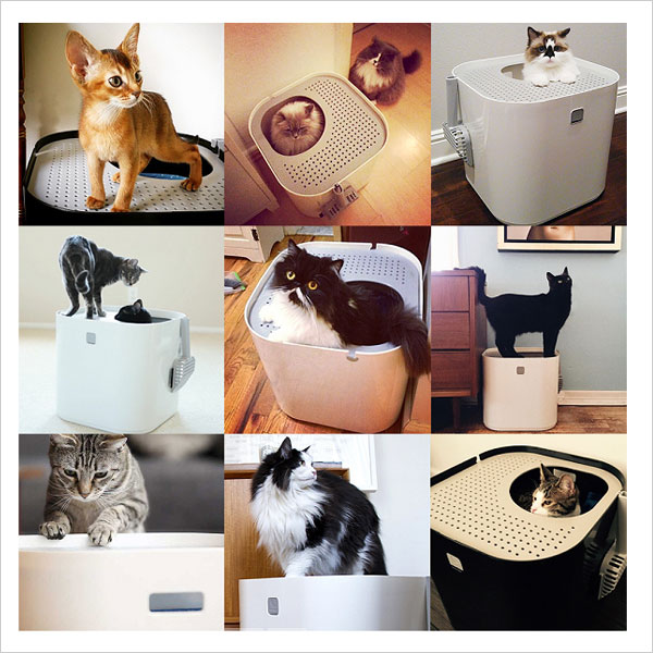 世界的デザイン賞受賞　モデキャットリターボックス　猫トイレ　ねこトイレ　キャット 楽天市場】モデキャット リターボックス 猫トイレ 猫といれ フル
