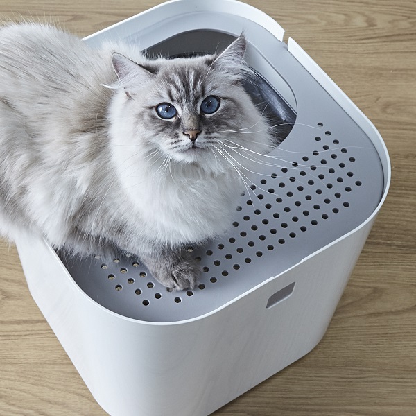 世界的デザイン賞受賞の美しい猫用トイレ！ Modkat LitterBox