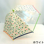 【雨傘】【ジュニア用】1駒透明はらぺこあおむしプリント子供手開き雨傘