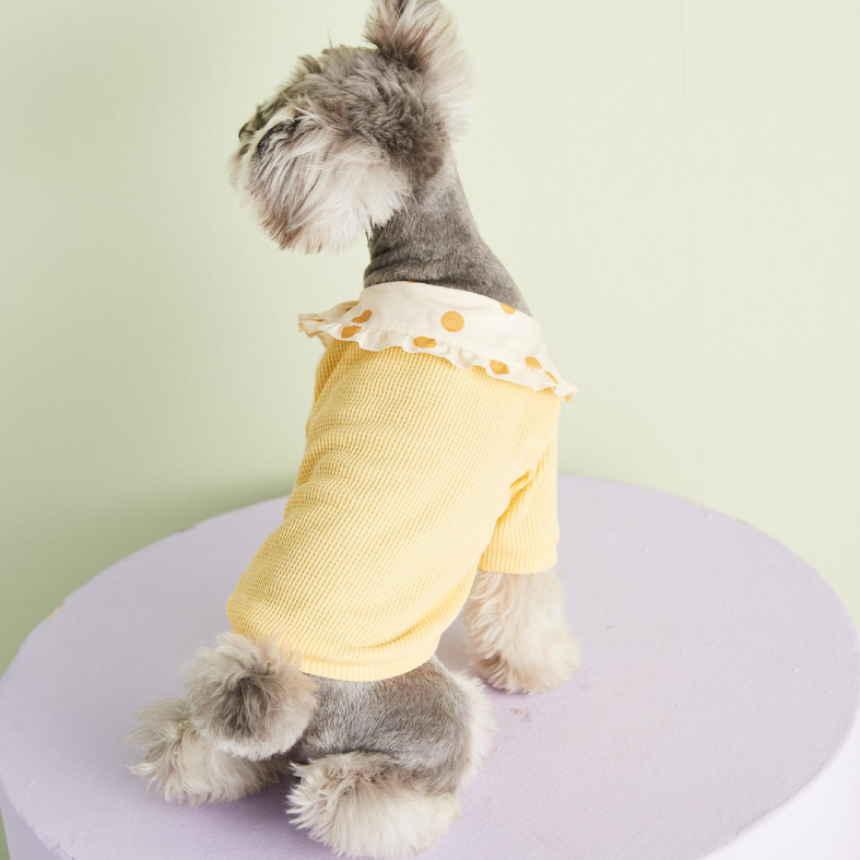 秋新作 ペット用品 犬猫の服 人気 ファッション 小中型犬服 犬猫洋服 