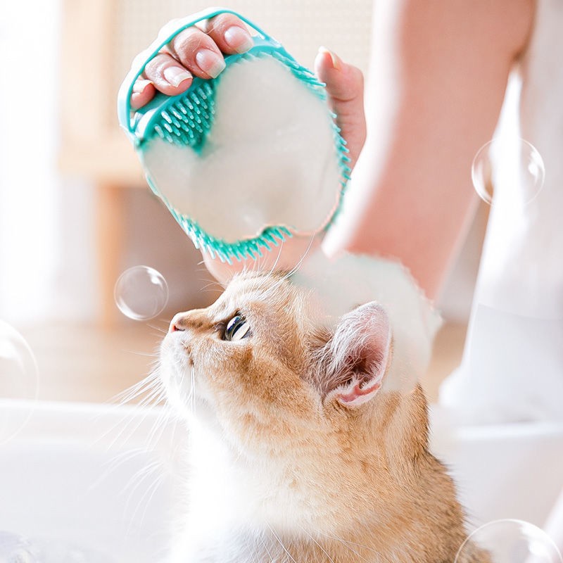 ペットバスブラシ猫摩擦ソフト接着剤マッサージブラシクリーニング用品 猫と犬に適しています