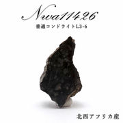【 一点物 】 NWA11426 隕石 北西アフリカ産 普通コンドライトL3-6 NWA11426隕石 コンドライト