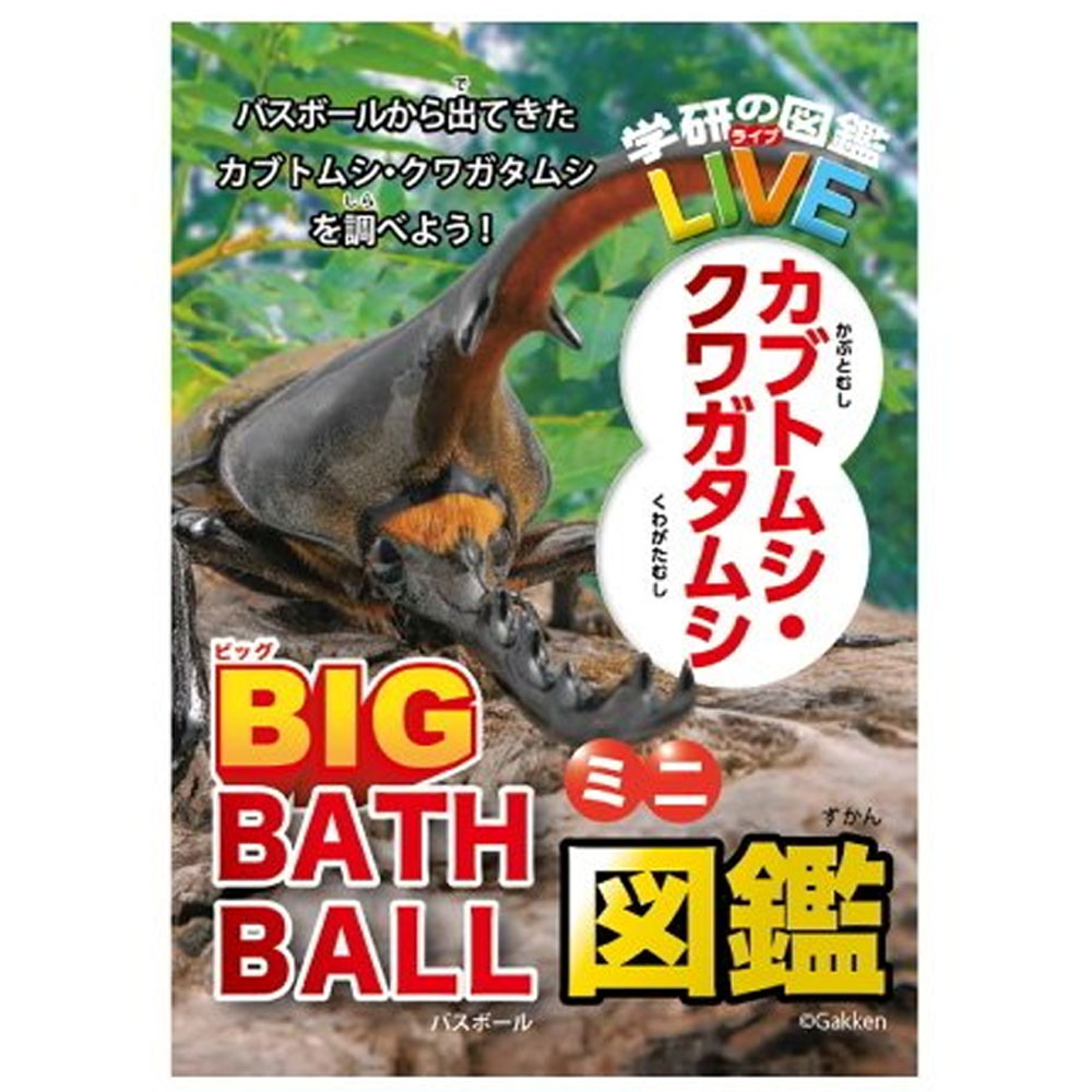 学研の図鑑ライブ カブトムシ・クワガタ 発泡タイプの入浴料 ビッグ バスボール さわやかな空の香り 1個入 カネイシ 株式会社 | 卸売・  問屋・仕入れの専門サイト【NETSEA】