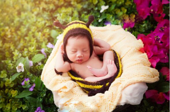ベビーコスチューム 新生児フォト 写真撮影用 出産祝い 新生児 記念撮影 衣裳  　　