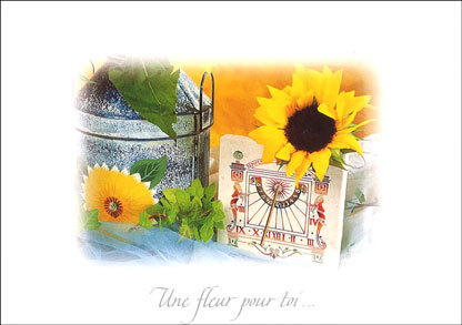 ポストカード サマーカード「ひまわり」カラー写真 ヒマワリ 向日葵 花 暑中見舞い