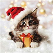 グリーティングカード クリスマス「プレゼントを渡す猫サンタ」メッセージカード