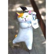 ポストカード イラスト カラー写真 高橋理佐/猫粘土作家「カラッと乾かス」