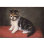 ポストカード アート スタッブス「ミスアンホワイトの子猫」名画 郵便はがき メッセージカード