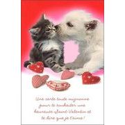 グリーティングカード バレンタイン「仲良しな猫と犬」ハート