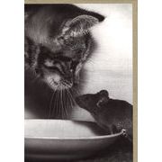グリーティングカード 多目的 モノクロ写真「猫とねずみ」フォト