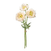 MAGIQ フリンジスカビオサ ＃37　CREAM