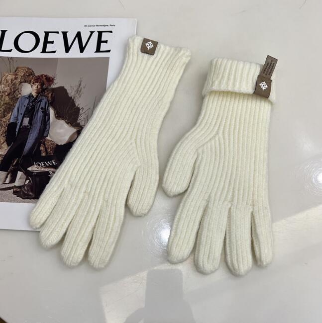 グローブ 手袋 スマホ対応 レディース 秋冬 暖か ロング型 かわいい シンプル トレンド 人気
