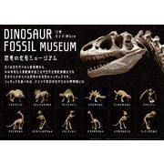 恐竜の化石 ミュージアム