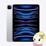 Apple アップル タブレットパソコン iPad Pro 11インチ 第4世代 Wi-Fi 256GB 2022年秋モデル MNXG3J/A