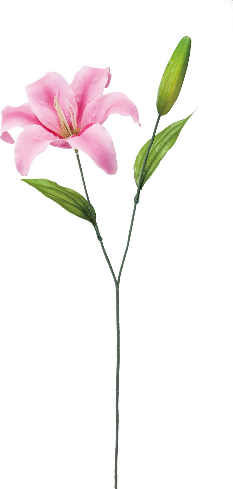 【造花】シングルカサブランカ　モーブ　ＦＦ－３０５４ＭＡＶ