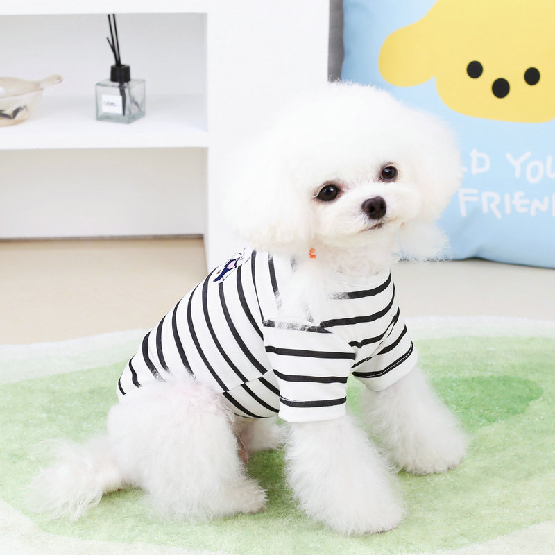 韓国 犬 ショップ 服 仕入れ