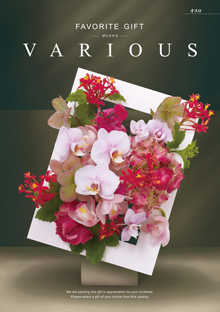 カタログギフト VARIOUS(べリアス）オスロ 33，990円(税込
