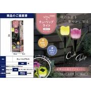 チューリップライト