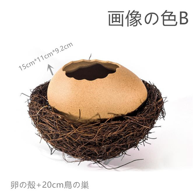 地域販売NO.1 激安セール 料理ボウル 卵の殻 鳥の巣 盛り付け 食器