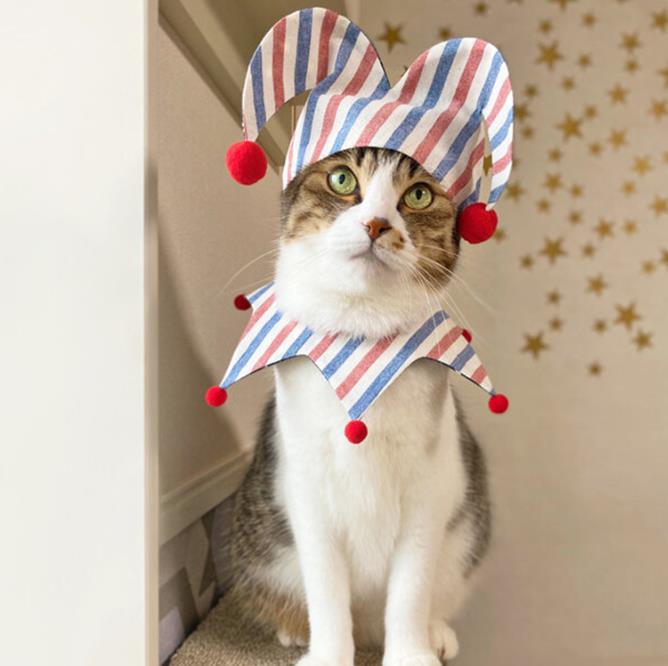 アイシードール本体 ボアウィッグ アウトフィット グリーン猫ピエロ