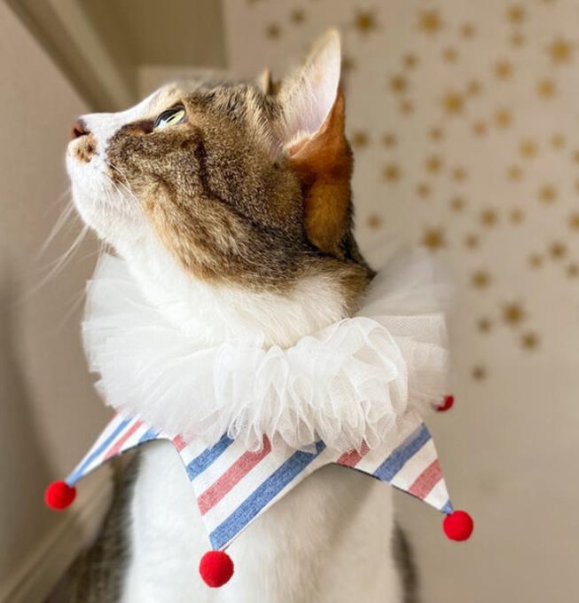 アイシードール本体 ボアウィッグ アウトフィット グリーン猫ピエロ