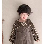 2024 秋新作 韓国風子供服  キッズ  ベビー服   トップス ドット  長袖 Tシャツ   シャツ   2色