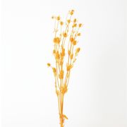 造花　ドライ　ディスプレイ　ＡＮ８００２６　エリンジウム　＃０３０　オレンジ