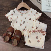 韓国風子供服 キッズ服   トップス＋ズボン　セットアップ 人気新品3色