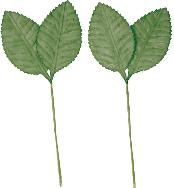【雑貨】ソラパーツ椿の葉　ミドリ　２Ｐ　　ＭＣＹ－０５６８
