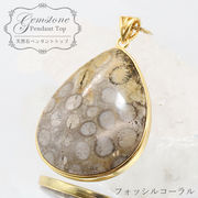 フォッシルコーラルの商品一覧 | 卸売・ 問屋・仕入れの専門サイト